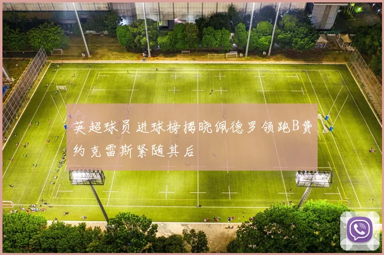 英超球员进球榜揭晓佩德罗领跑B费约克雷斯紧随其后